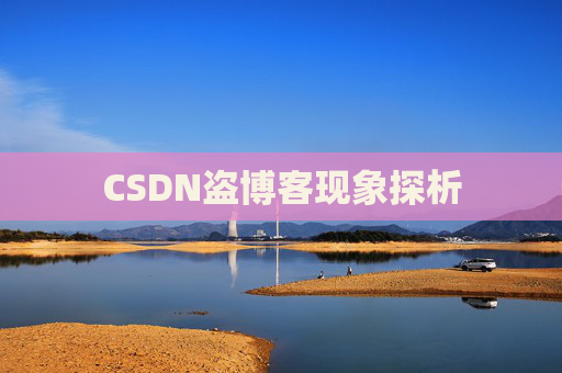 CSDN盗博客现象探析 CSDN盗博客现象探析